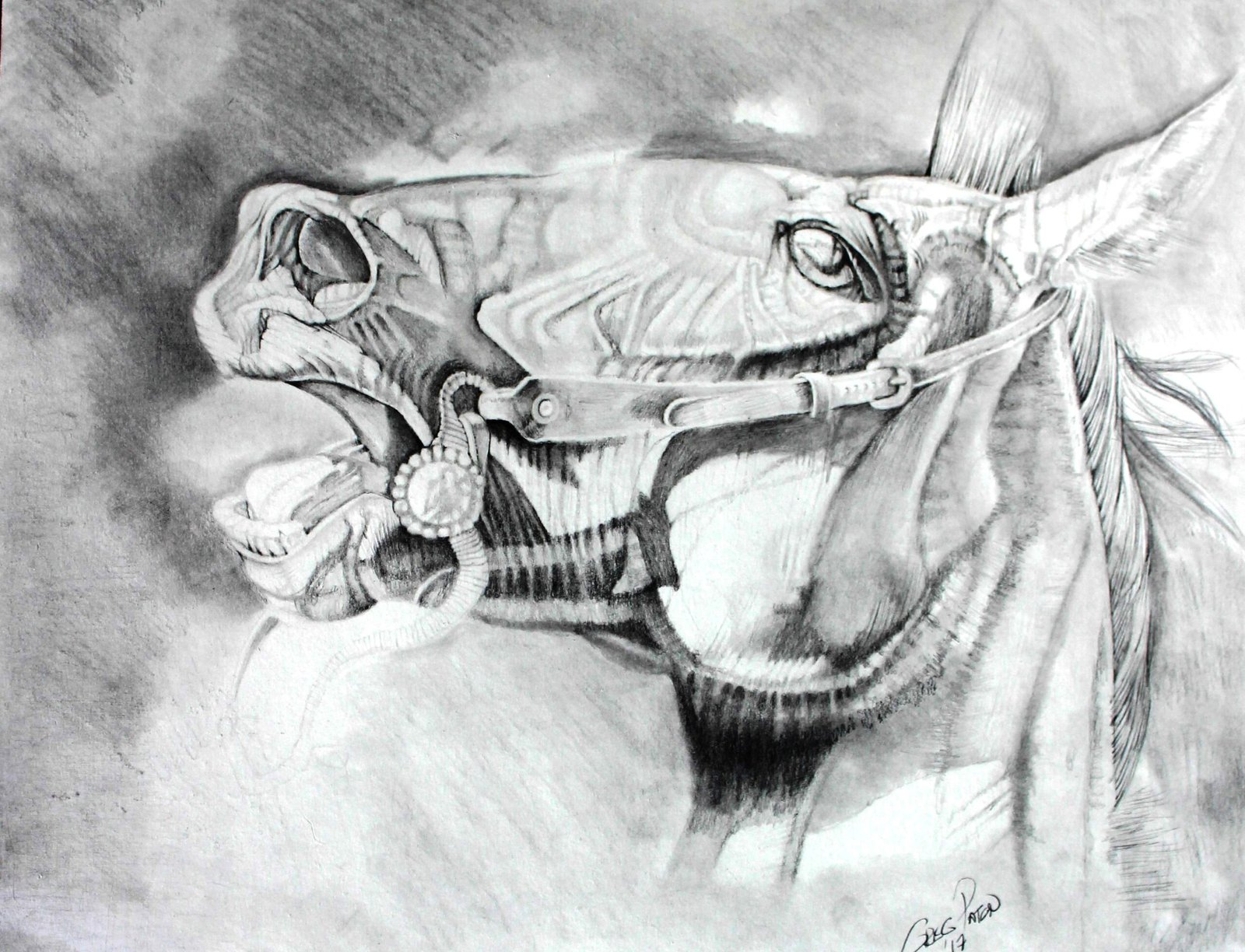 Pencil Drawing of Disturbed Horse